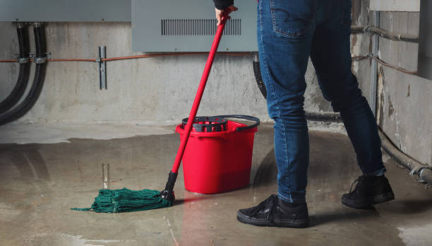 Best Water damage restoration services  in Coopersburg, PA
