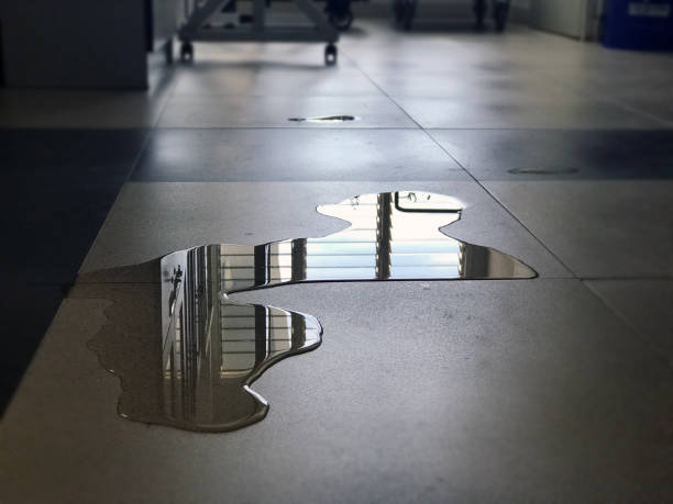 Best 24/7 water damage repair  in Coopersburg, PA