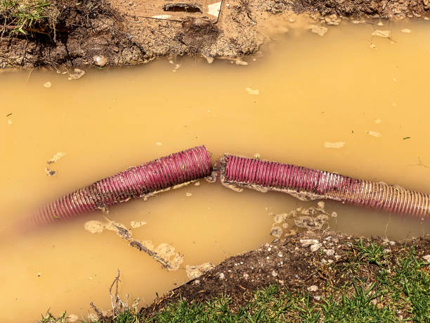 Best Flood damage cleanup  in Coopersburg, PA