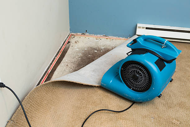 Best Water damage restoration near me  in Coopersburg, PA